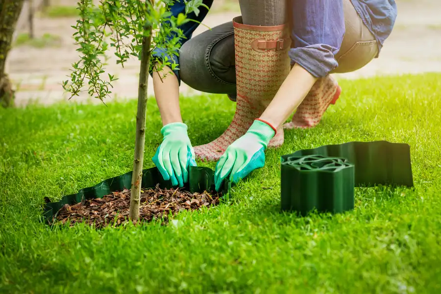Affordable Flower Bed Edging Madison, OH Affordable Flower Bed Edging Madison, OH
