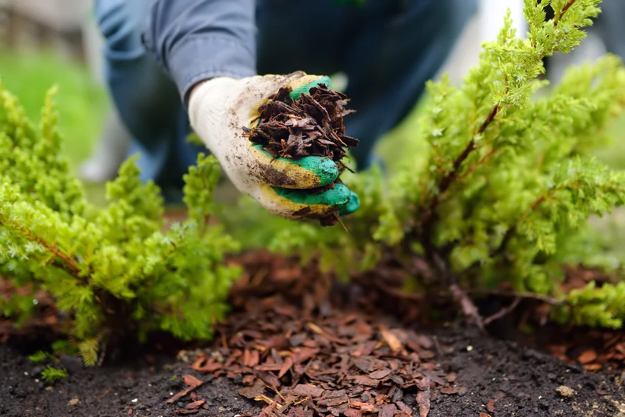 Excellent Mulching Madison, OH Excellent Mulching Madison, OH