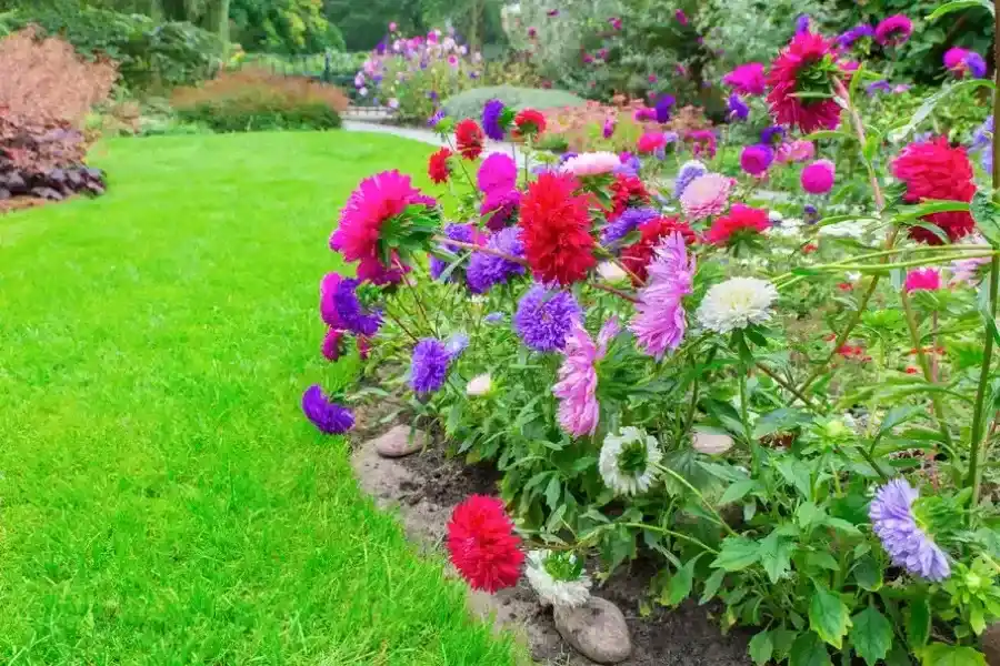 Expert Flower Bed Edging Madison, OH Expert Flower Bed Edging Madison, OH