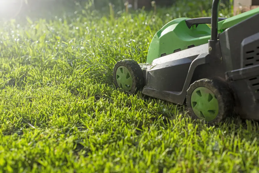 Lawn Mowing Service Tips For Different Grass Types Madison, OH Lawn Mowing Service Tips For Different Grass Types Madison, OH