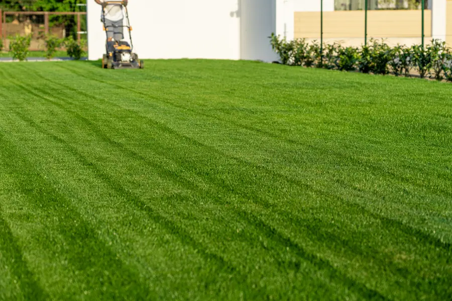 Lawn Mowing Service Tips For Different Grass Types in Madison, OH Lawn Mowing Service Tips For Different Grass Types in Madison, OH