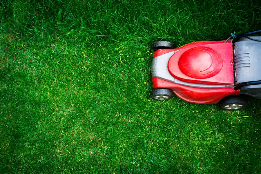 Premium Lawn Mowing Service Madison, OH Premium Lawn Mowing Service Madison, OH