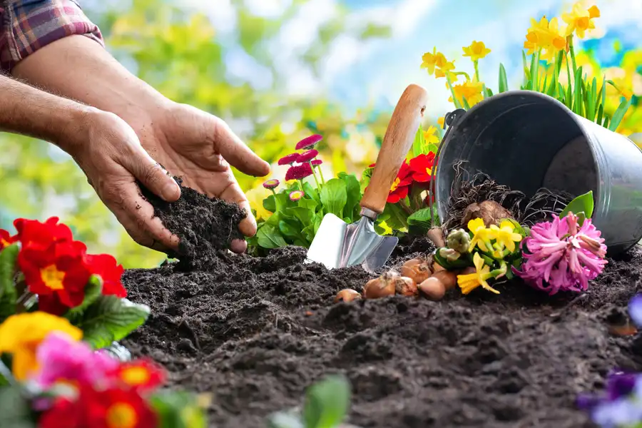 Quality Flower Bed Edging Madison, OH Quality Flower Bed Edging Madison, OH